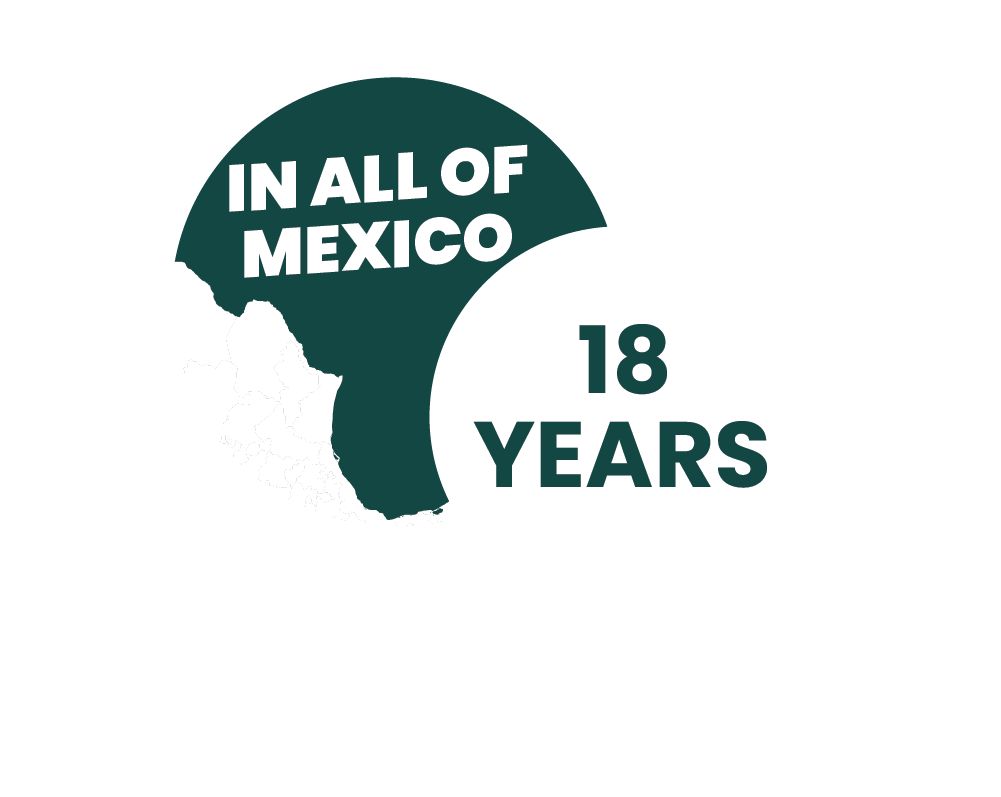 18 años_inglés